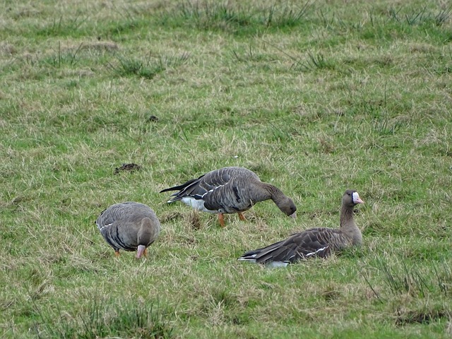 在公开场合 在公开场合