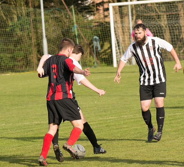 赛季的最终 赛季的最终