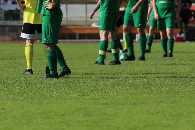 第二的归属 第二的归属