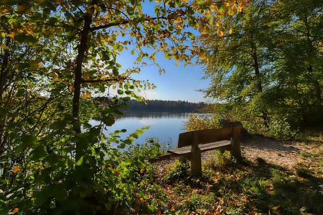 在球员管理 在球员管理