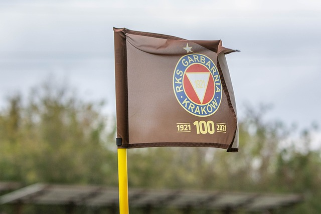 例如競技水 例如競技水