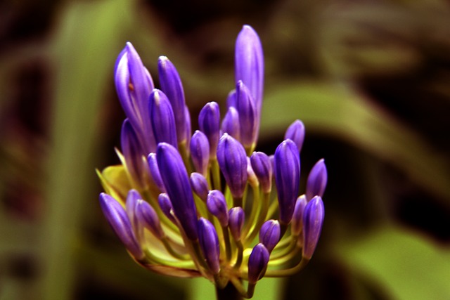 卡塔尔世界 卡塔尔世界