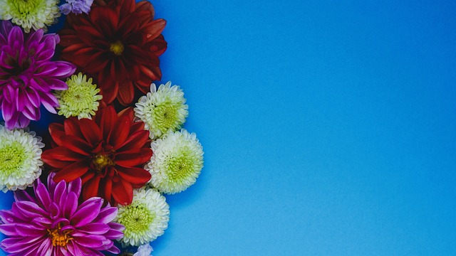 尤文图斯有 尤文图斯有