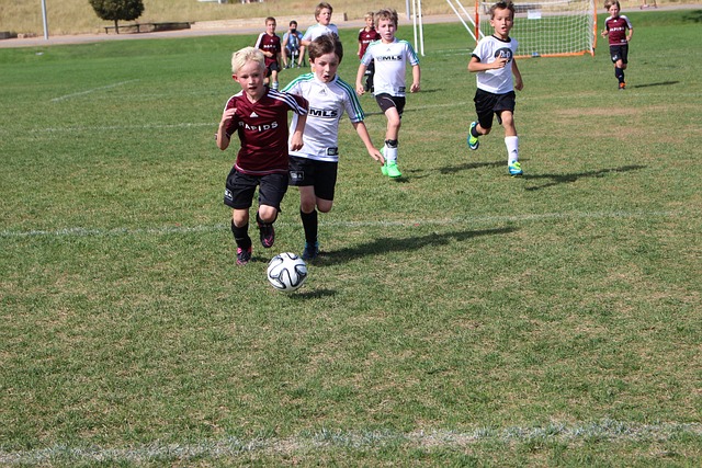 可以成为 可以成为