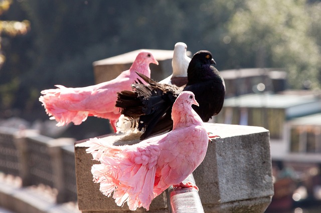 梅老七！梅西職業生涯第七座金球獎.